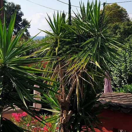 De La Plage 호텔 쎙뜨호뻬